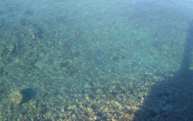 Vesna - 100 m From sea - A2