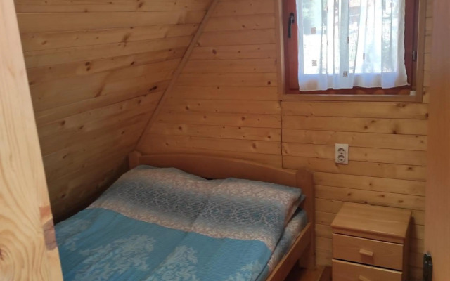 Vila Carobna suma Tara