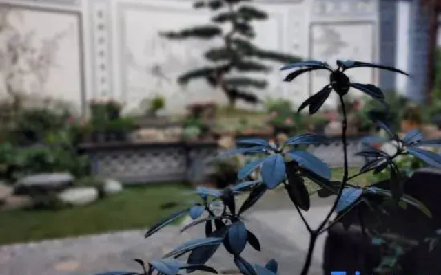 Huilan Garden