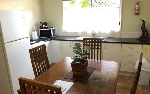 Coconut Palms on the Bay