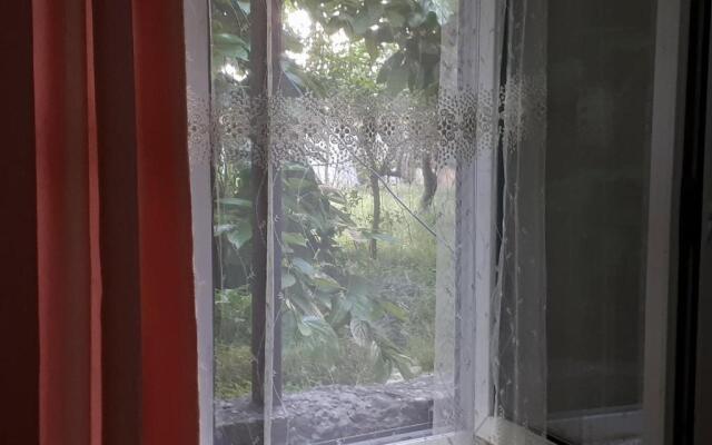 Guesthouse in Batumi