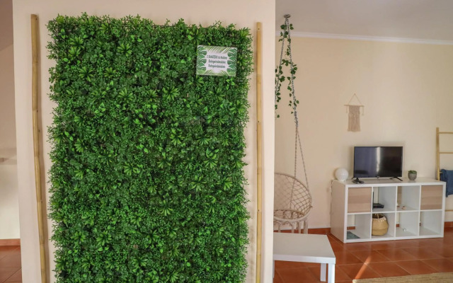 O DRAGOEIRO da Madalena!