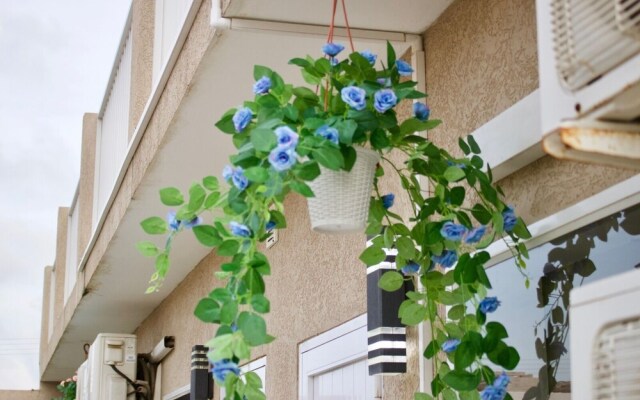 Room in Apartment - Nice Apartament in Aruba