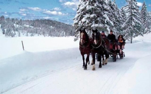 Alpenrose Traditionsgasthof Mittenwald