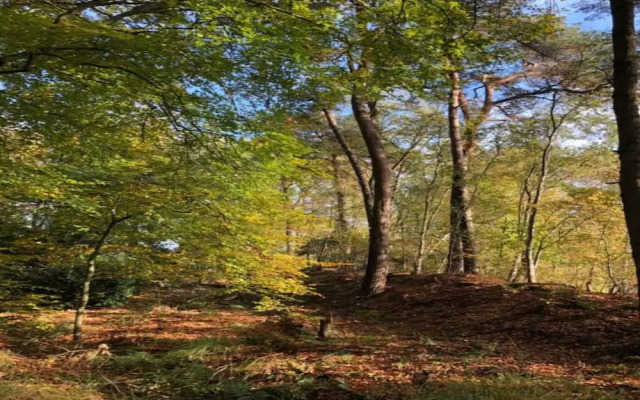 Tranquil Lakeside Stay for 4 Guests