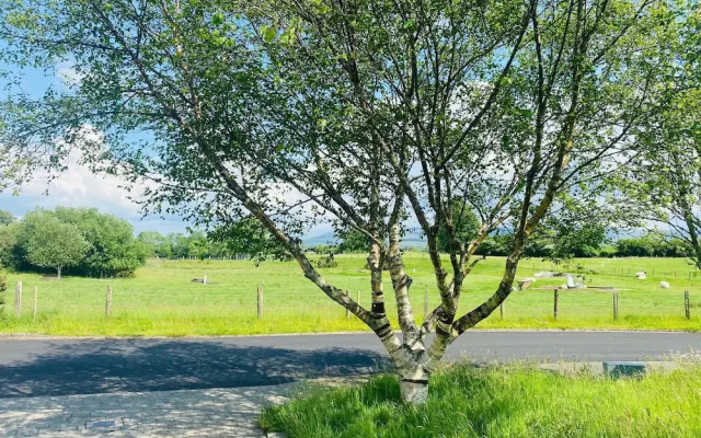 Holiday Home Within Easy Walking Distance to Kenmare