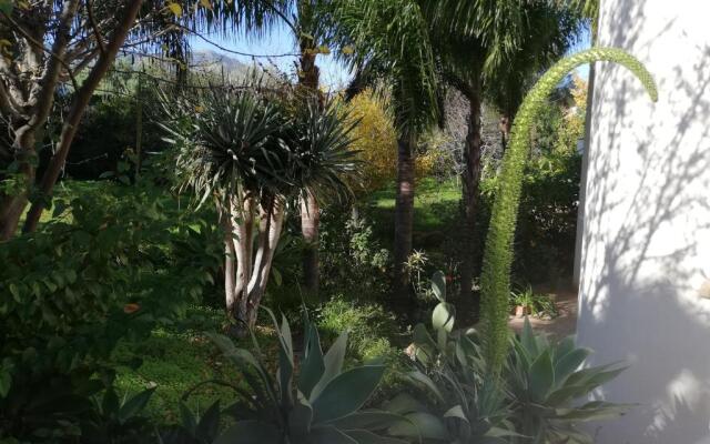 B & B Villa Flora