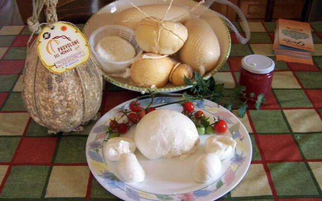 Stone House in Majella Park