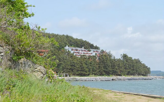 Seocheon Ocean Dream Vill Pension