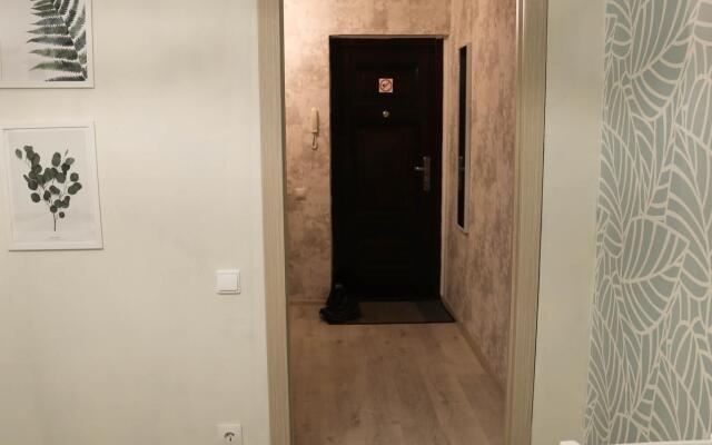 Апартаменты на улице Сурнова