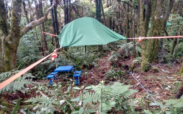 Pupu Rangi Nature Sanctuary - Conservation Area