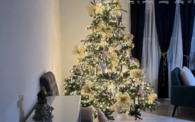 The Mermaid and the Sea Turtle