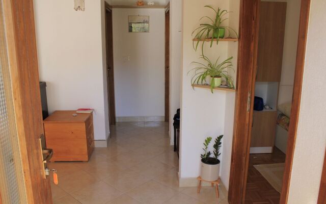 Holiday house Pavica K Pasman. Island Pasman
