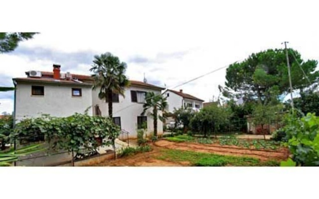 Apartman Dražen