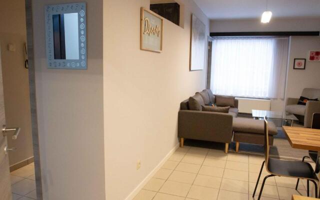 Renovated Apartment in Antwerp