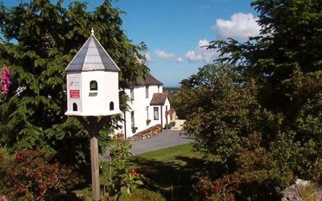 Celyn Villa Bed and Breakfast