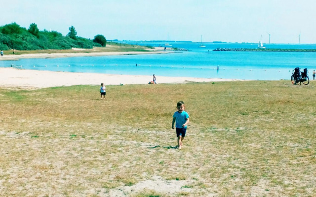 De Tureluur Bruinisse