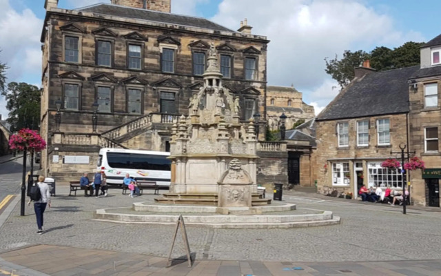 The Little Beech Tree