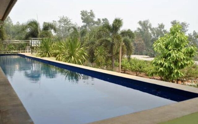 308 Mae Khao Tom Vineyard