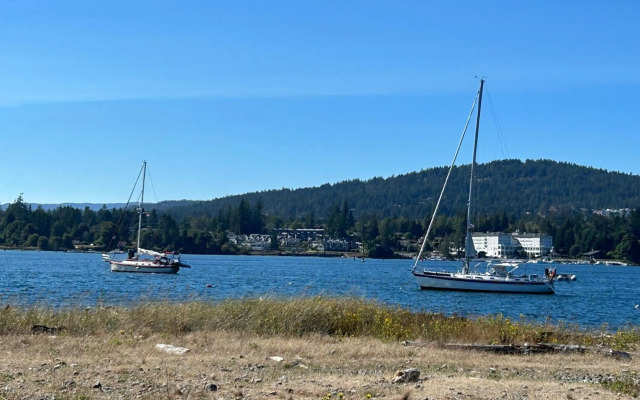 Seagull Studio Vacation Guest Suite