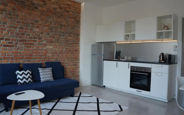 Apartament Gliwice Centrum Witkiewicza I
