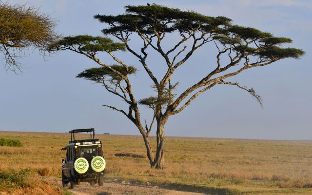 Serengeti Ikoma Wild Camp