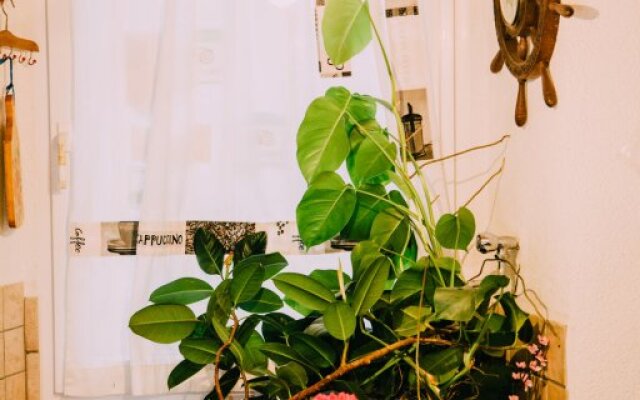 Room-serene Eco-lodge in Trieste's Green