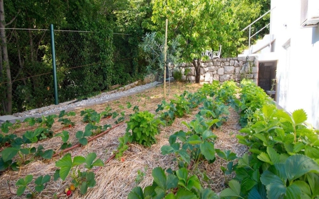 Exceptional Villa With Private Swimming Pool & Sea View