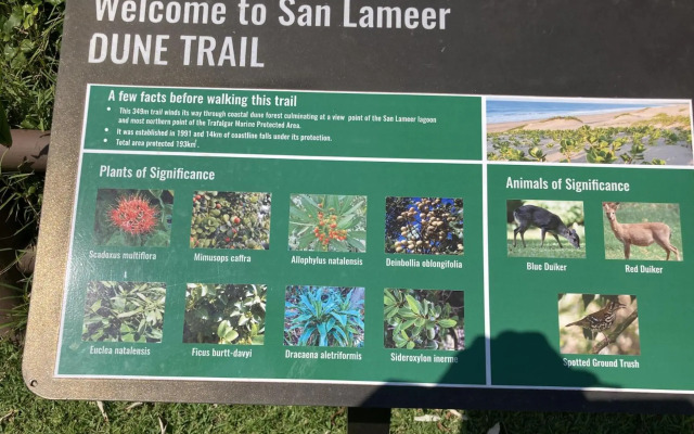 Sanlameer - Villa Fornasetti