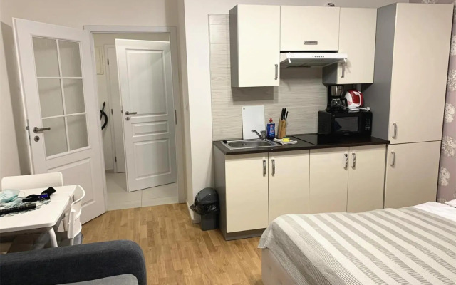 Charles Square Prague Apartment