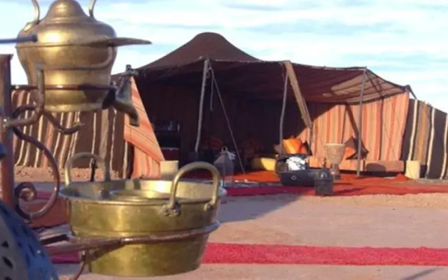 Desert Pearl Camp