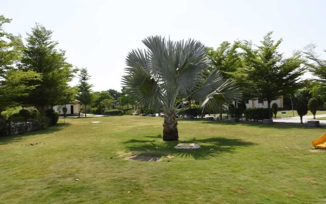 The Desert Den - Little Rann of Kutch