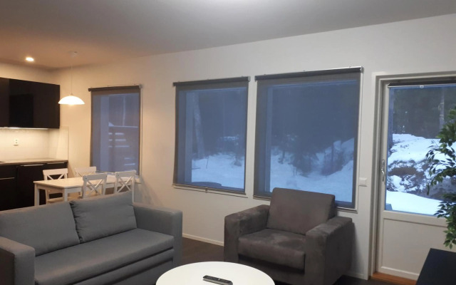 Modern Slope Apartment