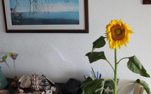 Siviri, the beautiful sunset