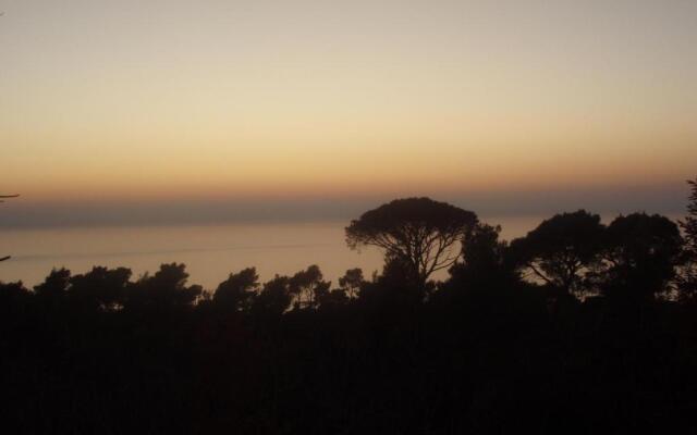 Konavle Apartments Zlatovisce