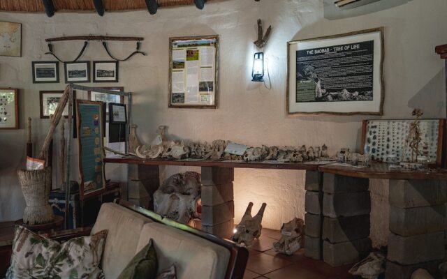 Mashatu Lodge - Mashatu Game Reserve