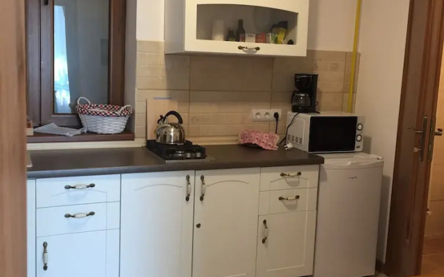 Buon Studio Sibiu, near train station and Small Square Old Town