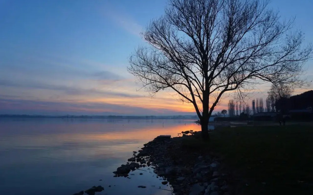 Thyme apt With Shared Pool