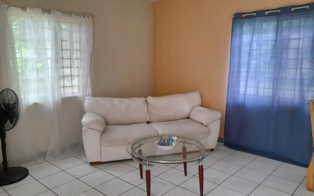 Camelia Rooms