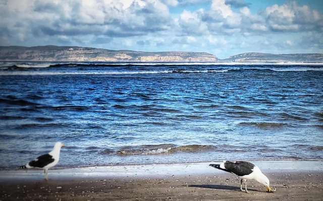 Ocean Pearl Apartment