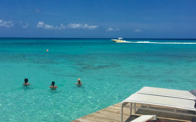A little Gem @CadaquesCaribe Bayahibe