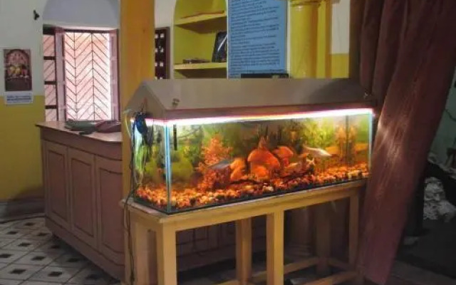 Shivakashi Guest House