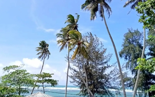 Reef Garden Polhena