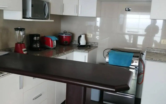 Beachfront Condo San Miguel