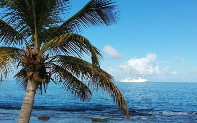 Apartment With 2 Bedrooms In Saint Martin With Wonderful Sea View Shared Pool Furnished Terrace