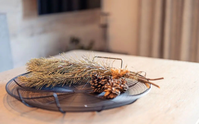 Luxury Apartment With Sauna, ski Lift Within Walking Distance