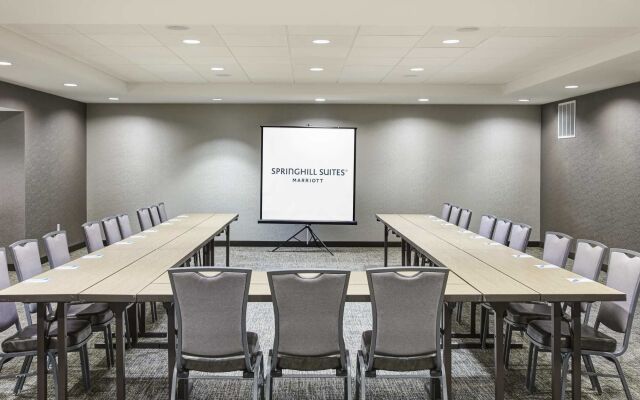 SpringHill Suites by Marriott Milwaukee Downtown