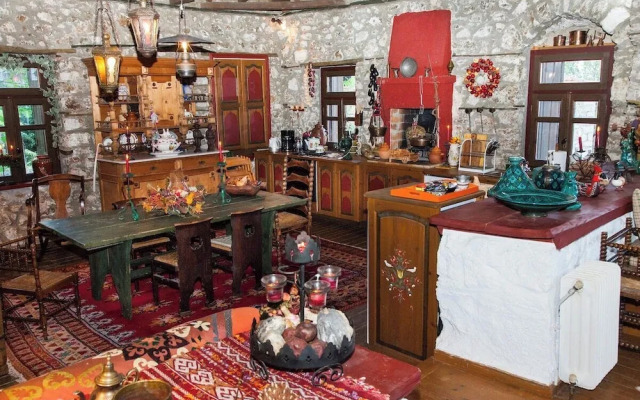 260m2 Unique Mountain House in Lilea Parnasos