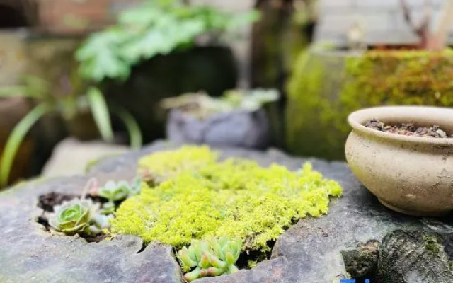 Yinghuige Boutique Inn