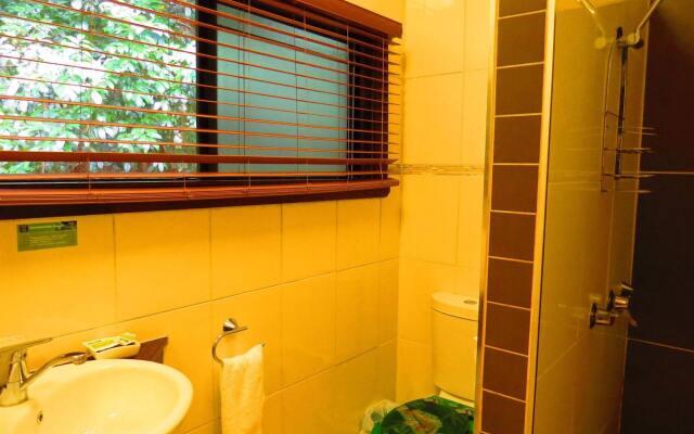 Daintree Rainforest Retreat